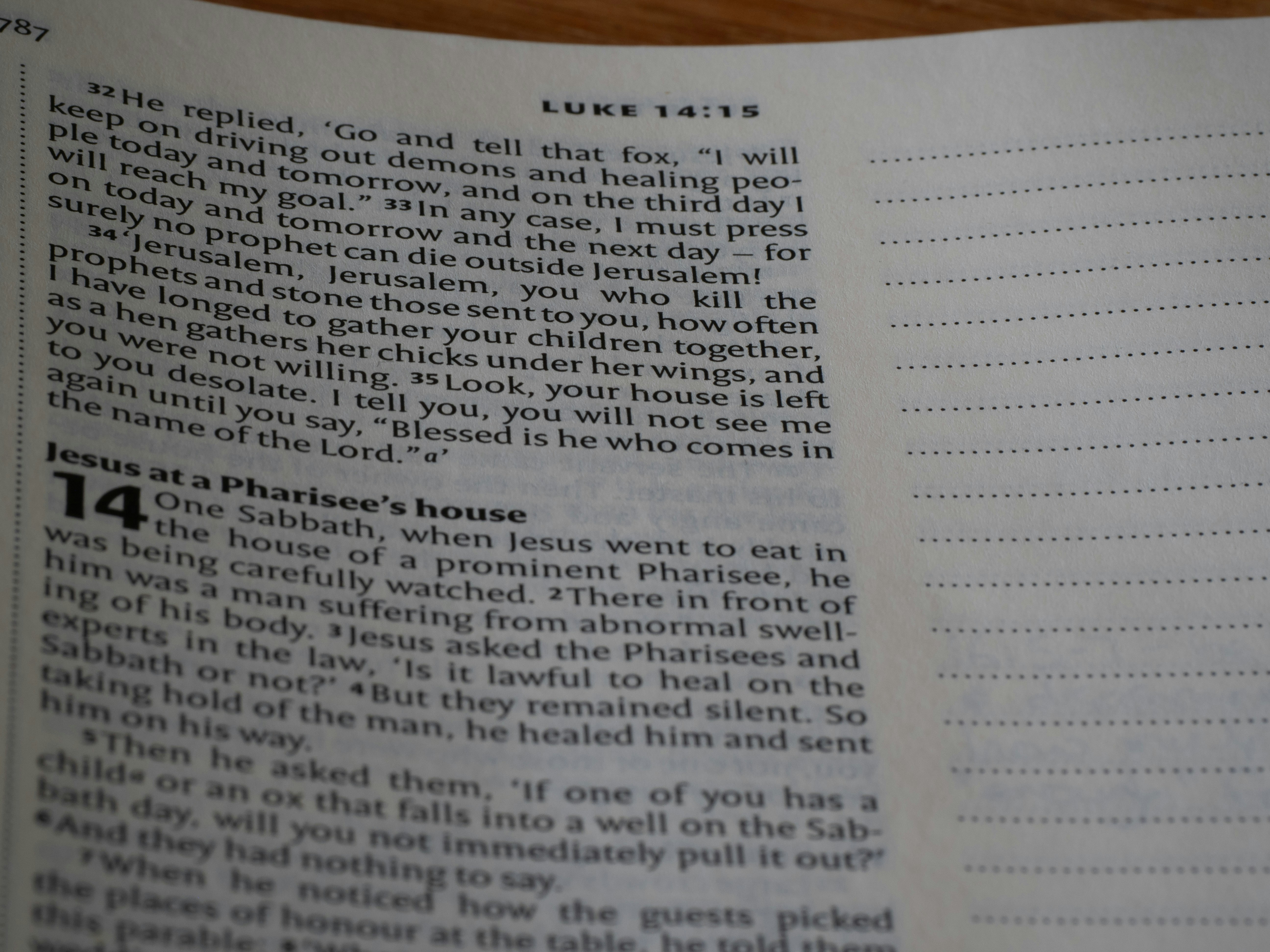 close up, bokeh, bible, new testament, christian, history, text, reading, bible study, devotions, christianity, scripture, Gospel of Luke, Luke, Synoptic Gospel, Gospel,